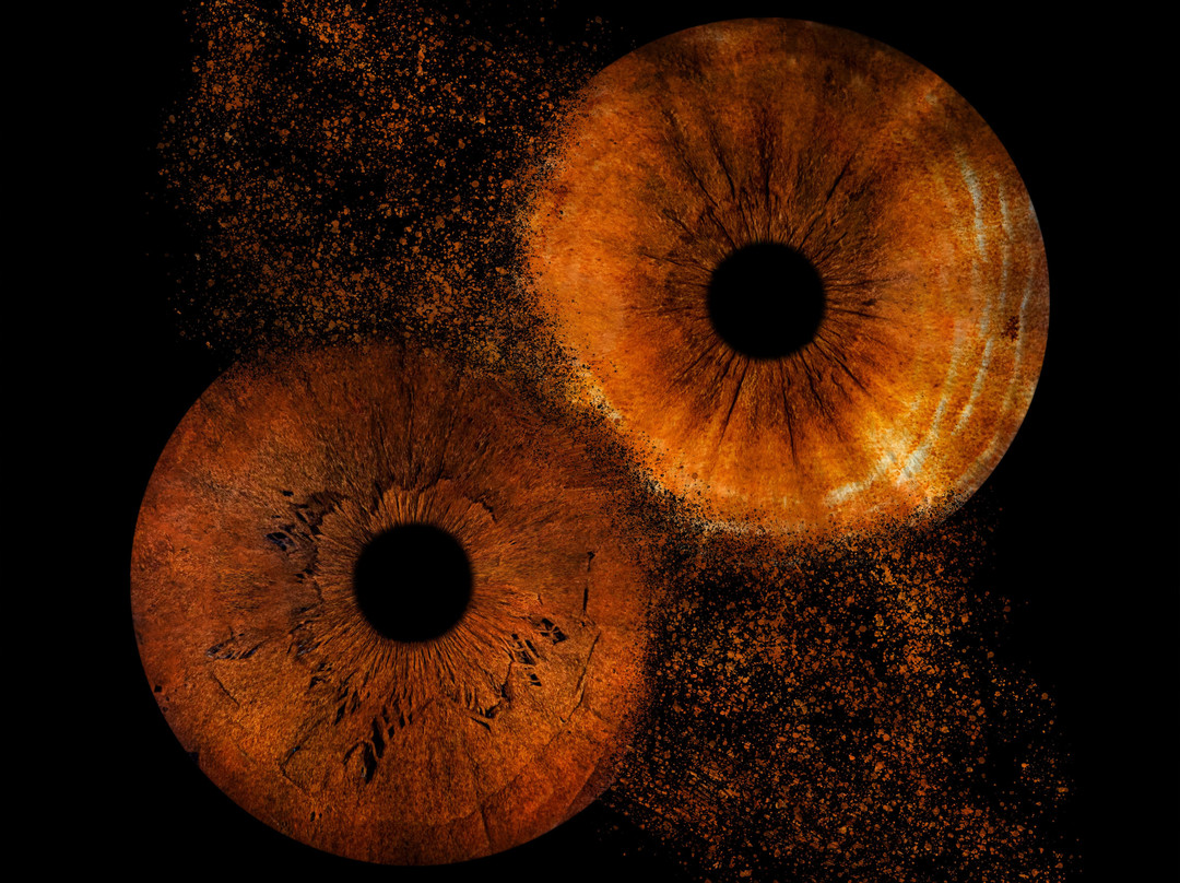 Iris Galerie Gent-根特必去景点