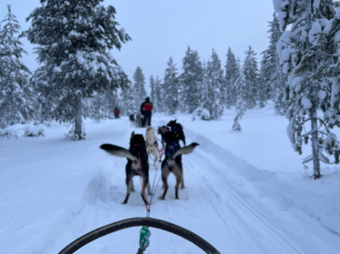 拉普兰之旅-撒利塞卡必去景点