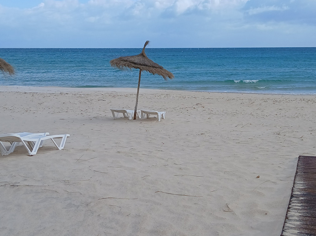 Maharba club Tunisia