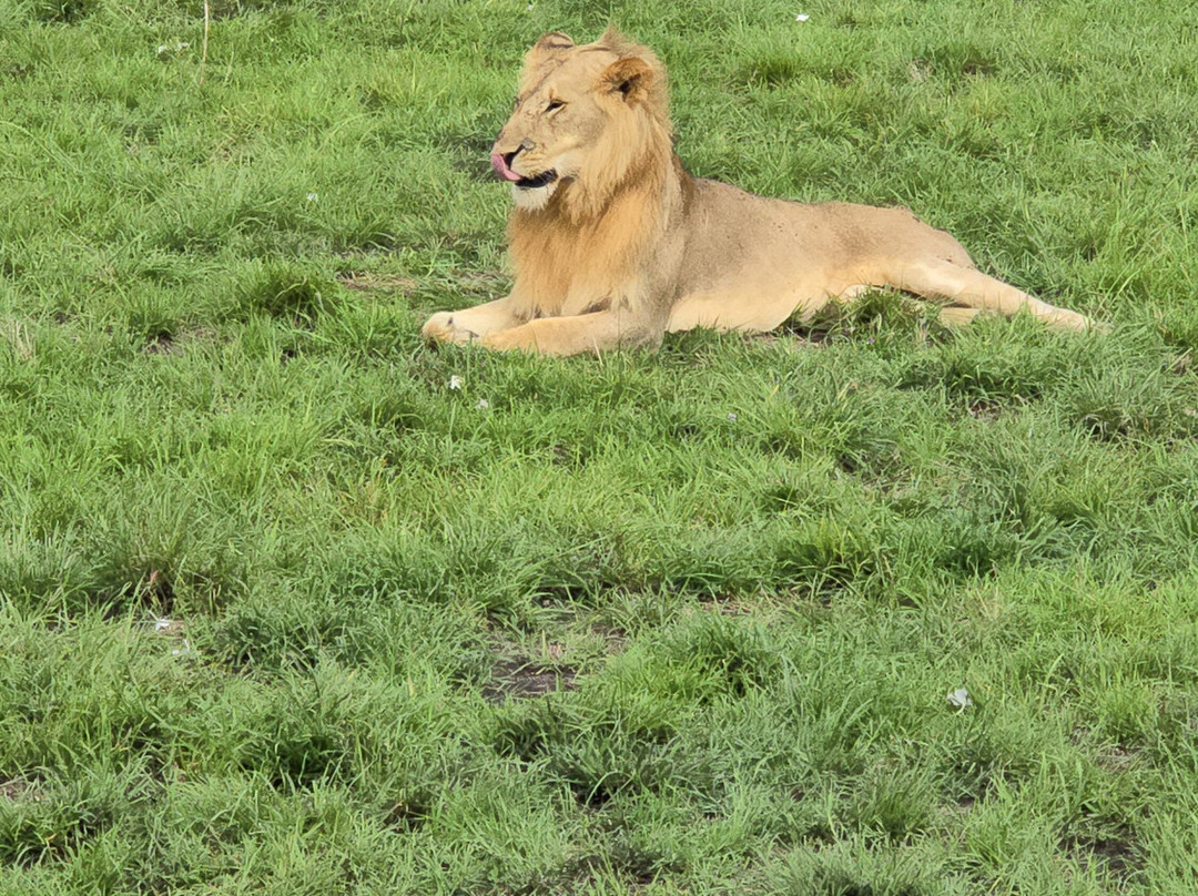 Stokman Safaris-Ruiru必去景点