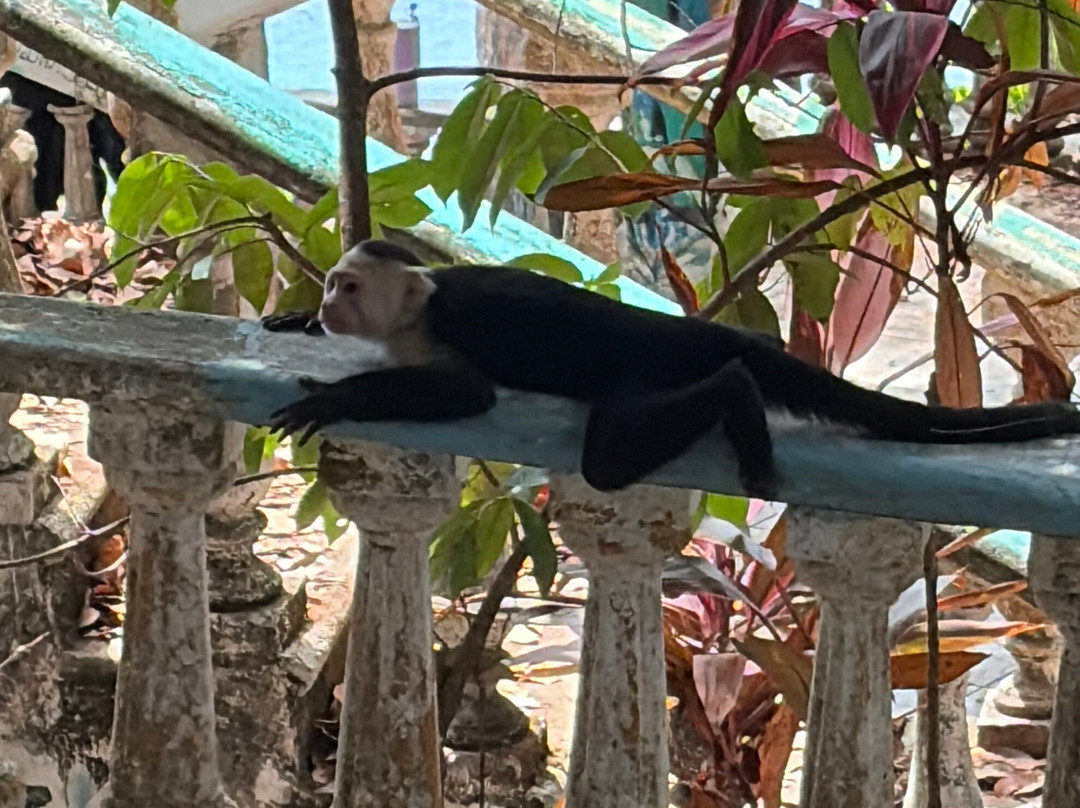 El Miro-哈科必去景点