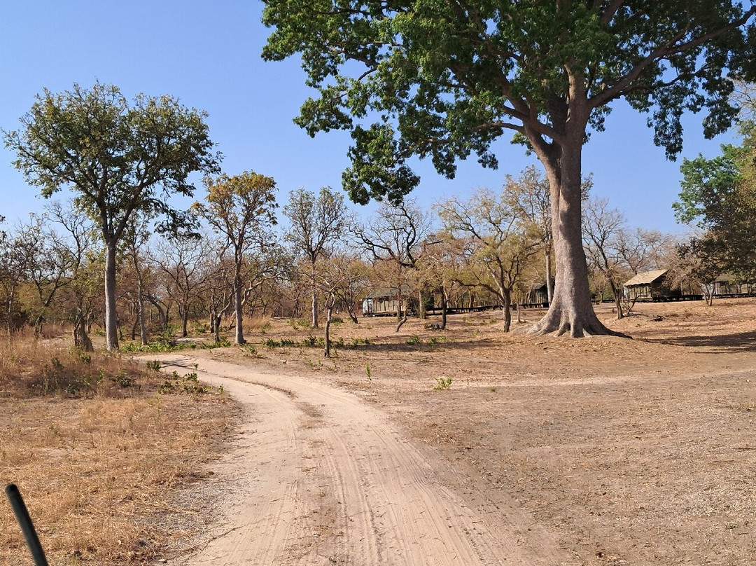 Fathala Wildlife Reserve-Dassilame Ba必去景点