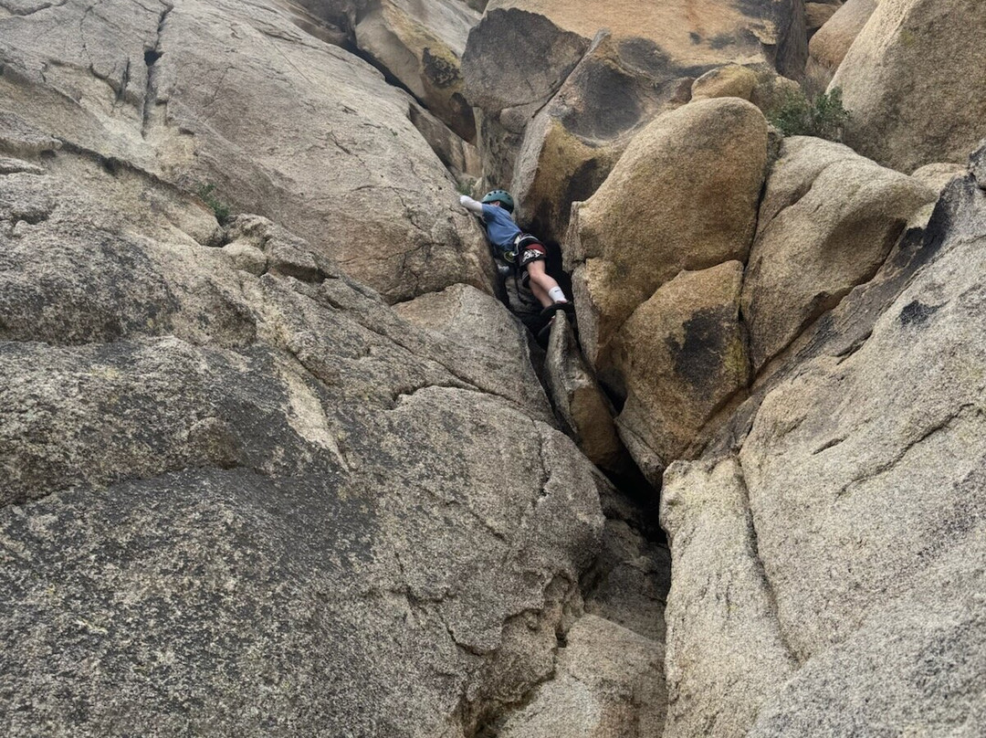 Cliffhanger Guides-约书亚树必去景点