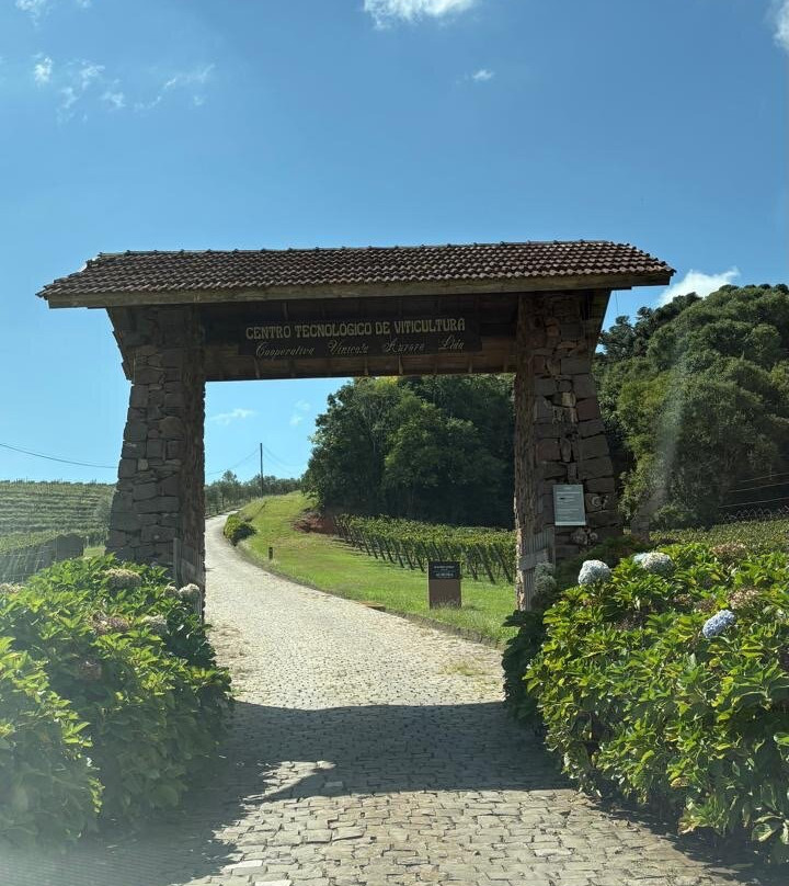 Vinícola Aurora Pinto Bandeira