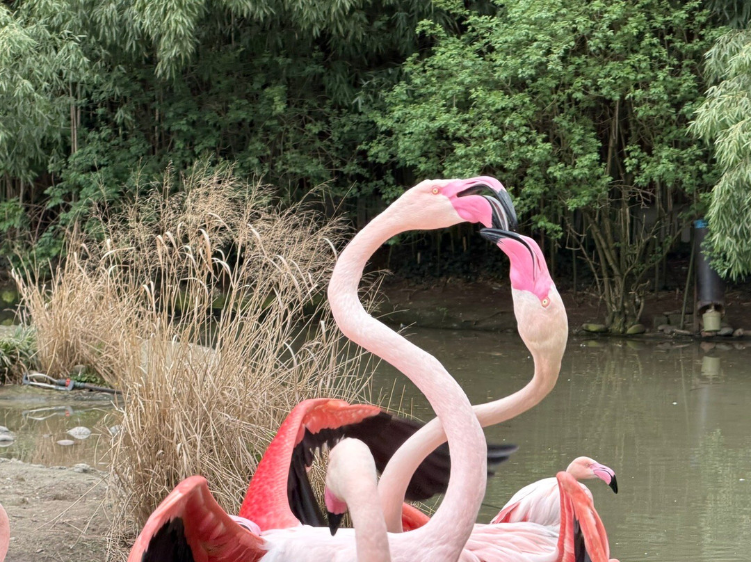 Zoo Basel-巴塞尔必去景点