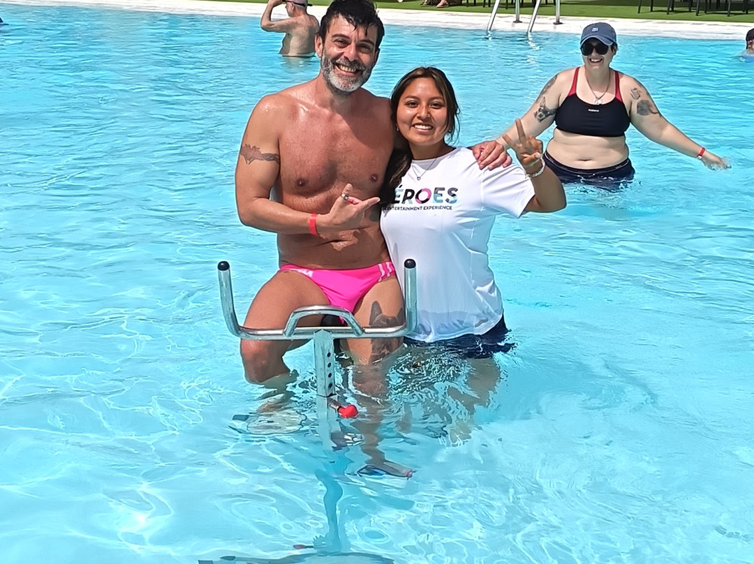 维斯塔弗洛平房主图