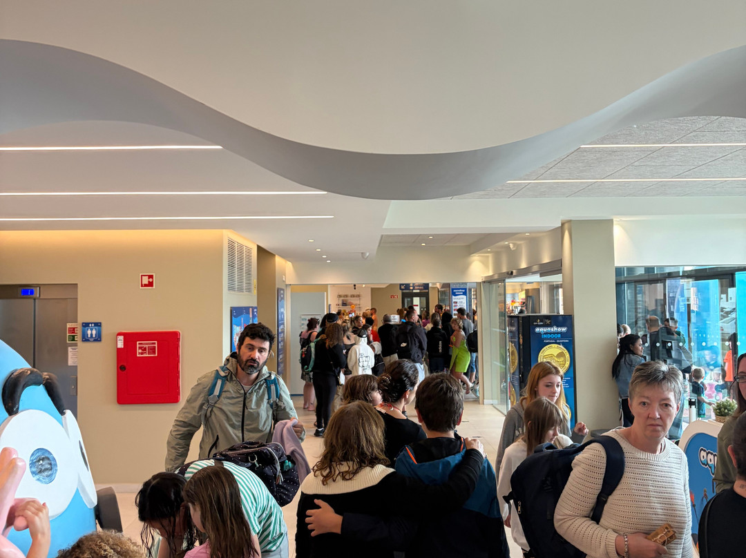 Aquashow Waterpark - Indoor-夸尔泰拉必去景点