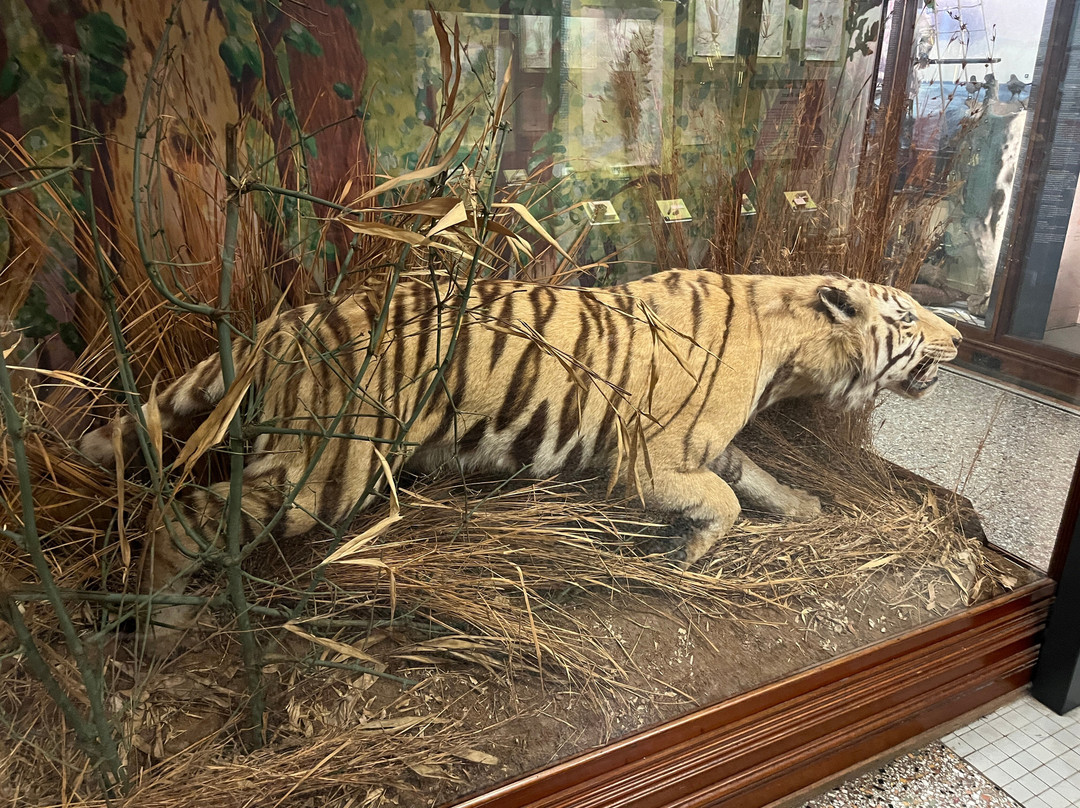 Norwich Castle Museum & Art Gallery-诺威奇必去景点