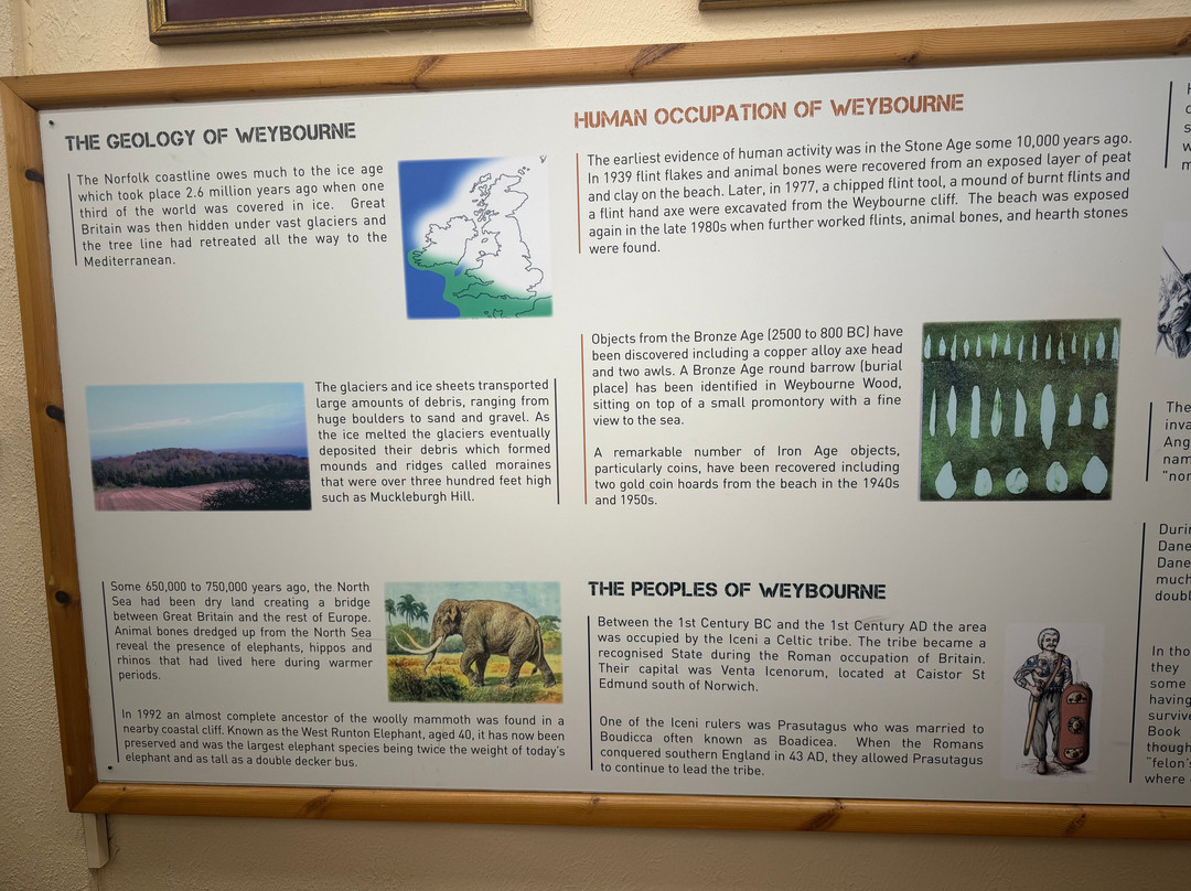 The Muckleburgh Military Collection-Weybourne必去景点