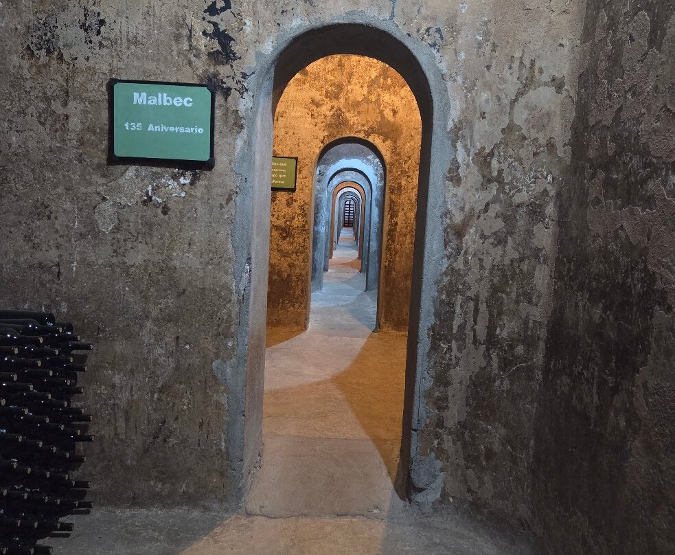 Bodega Goyenechea-圣拉斐尔必去景点