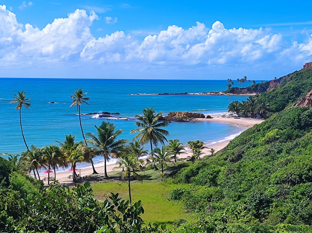 Turismo João Pessoa Pb-Joao Pessoa必去景点