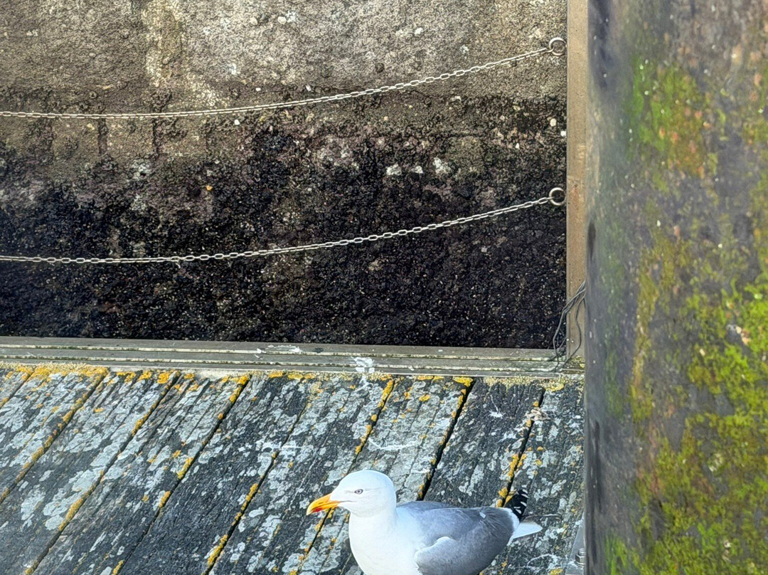 Islas Cíes-Cies Islands必去景点