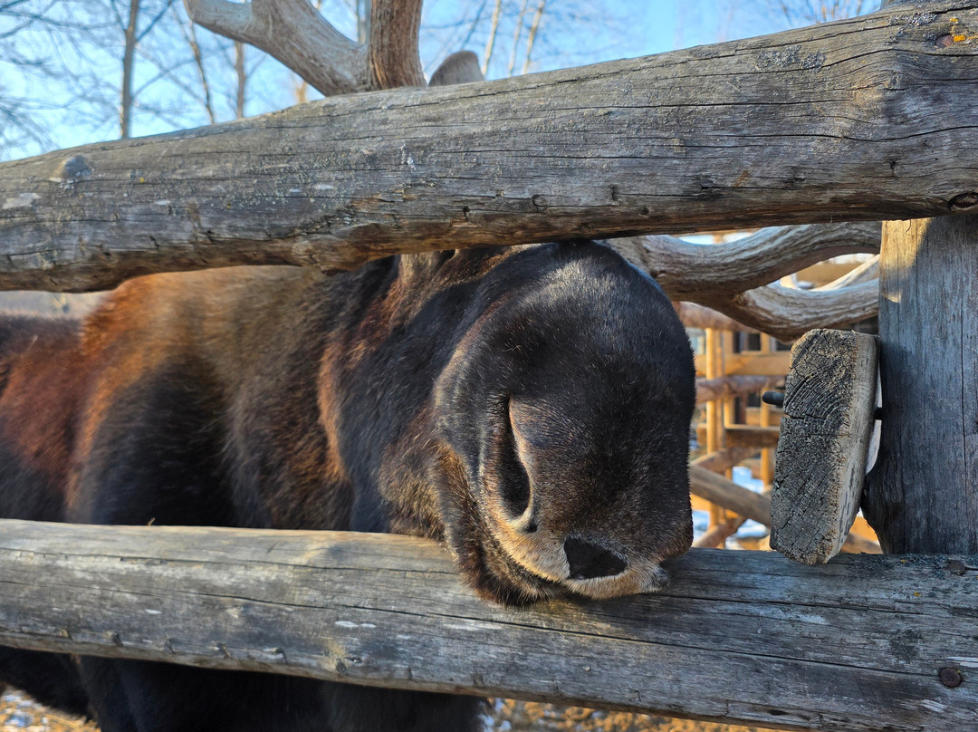 Zoopark Sikhote-Alin