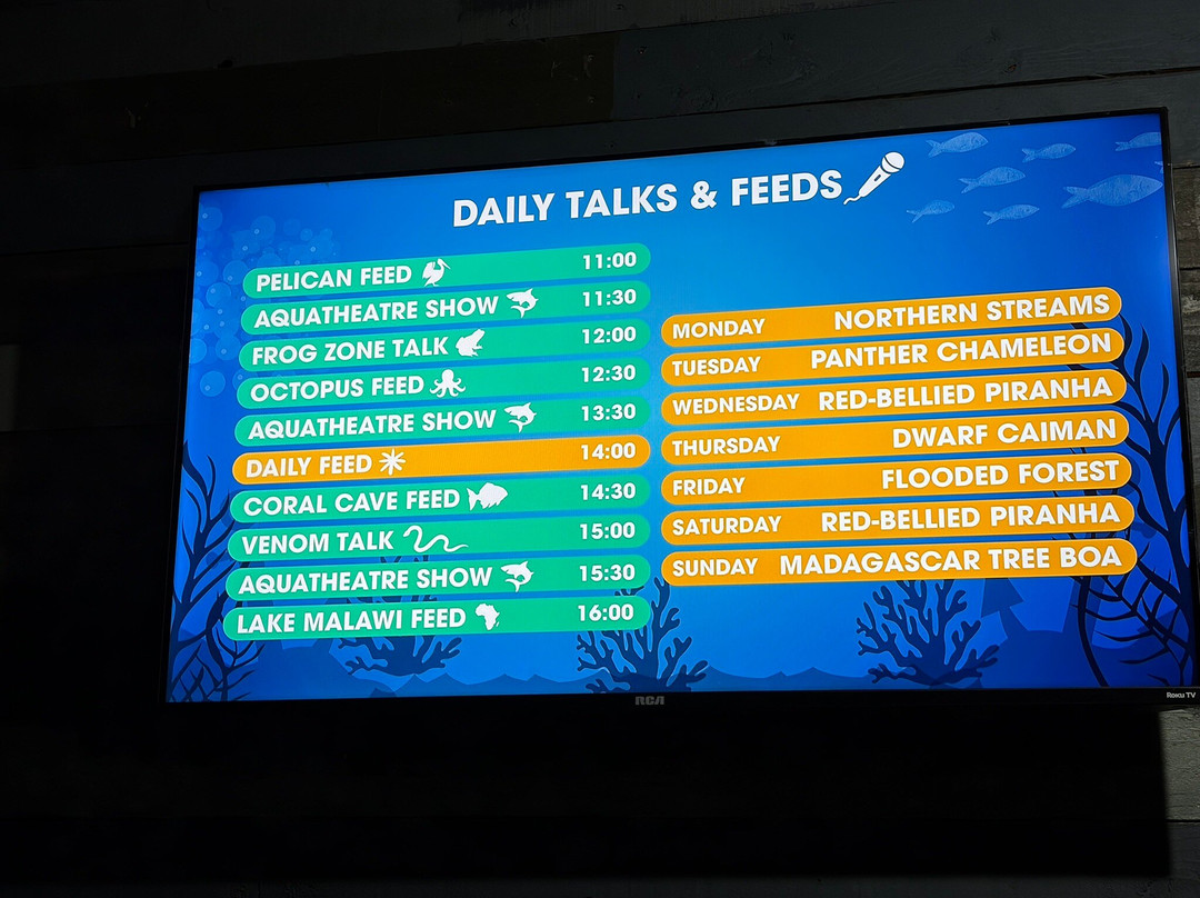 Blue Planet Aquarium-埃尔斯米尔港必去景点