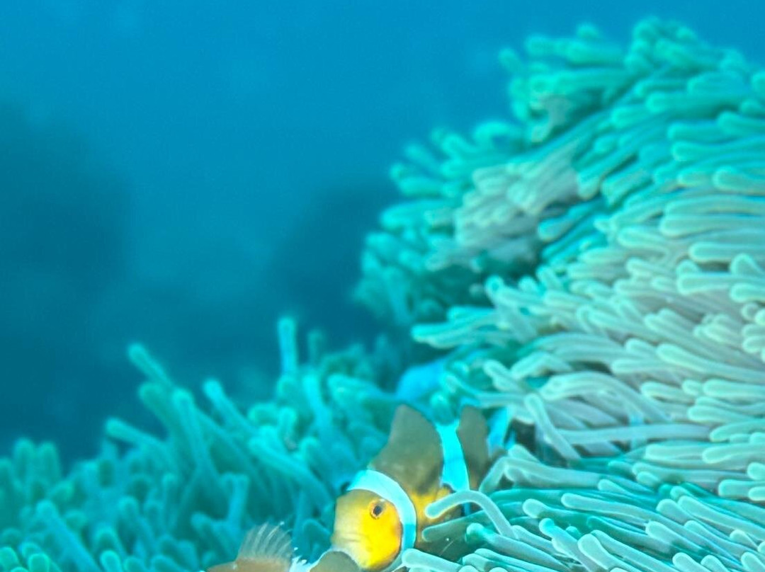 亚洲天堂浮潜-奈阳必去景点