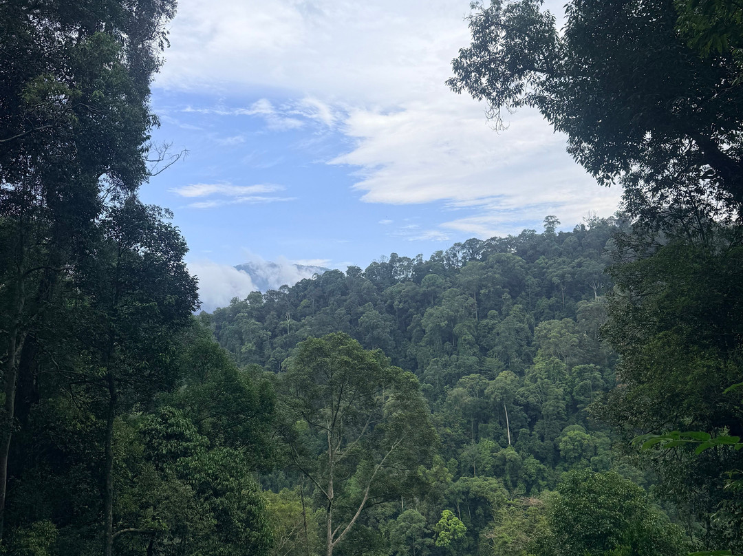 Explore Sumatra Wonder-武吉拉旺必去景点