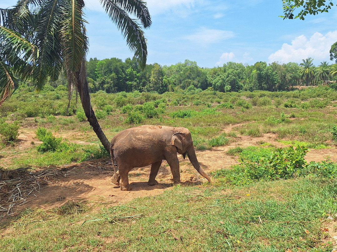Following Giants - Krabi-Khlong Hin必去景点