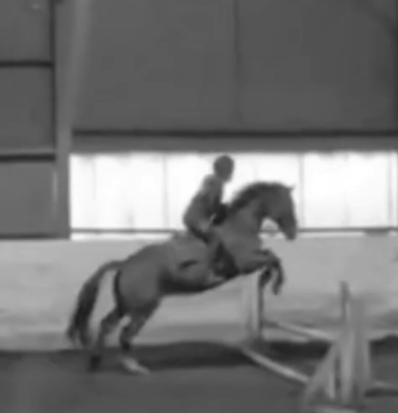 Bank House Equestrian - Private Rides-彭里斯必去景点