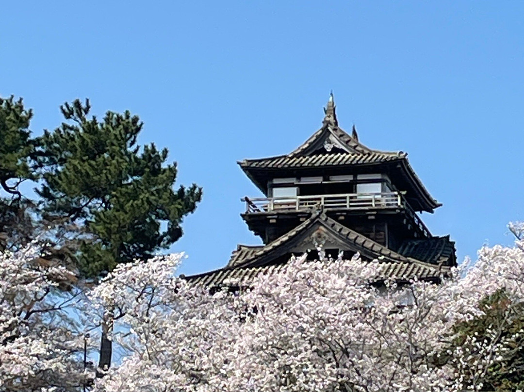 Maruoka Castle-坂井市必去景点