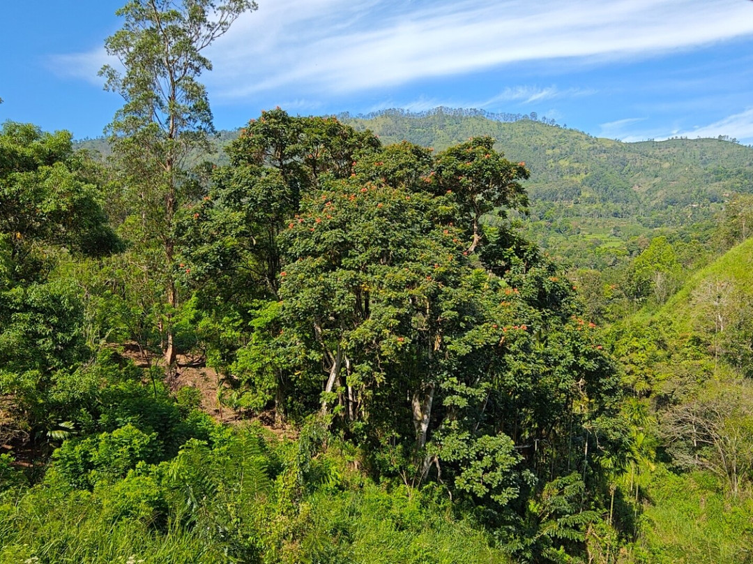 Ceylon Master Tours-Waskaduwa必去景点