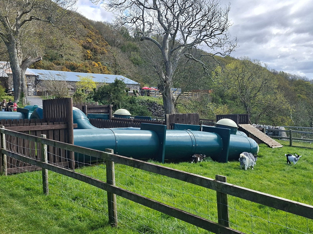 Children's Farm Park-Harlech必去景点