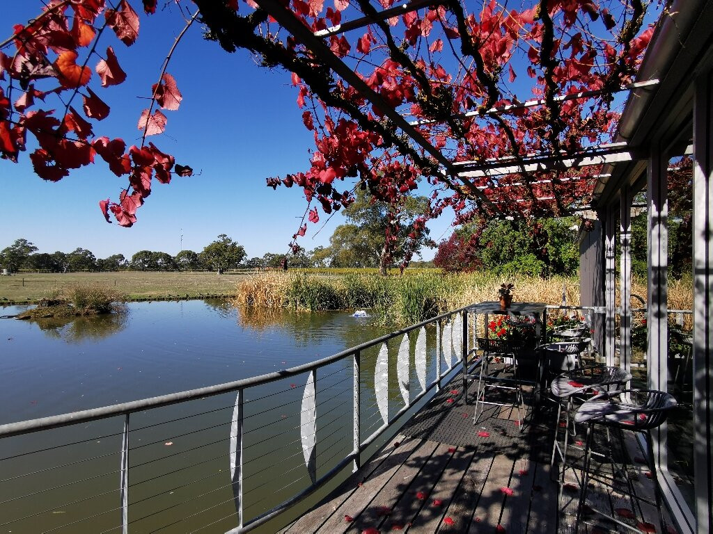 Balnaves of Coonawarra-Coonawarra必去景点