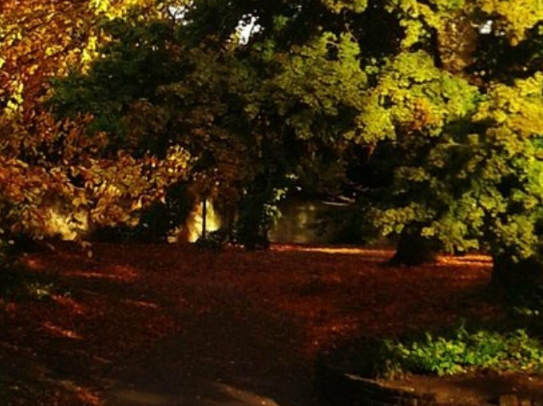 The Arboretum-诺丁汉必去景点