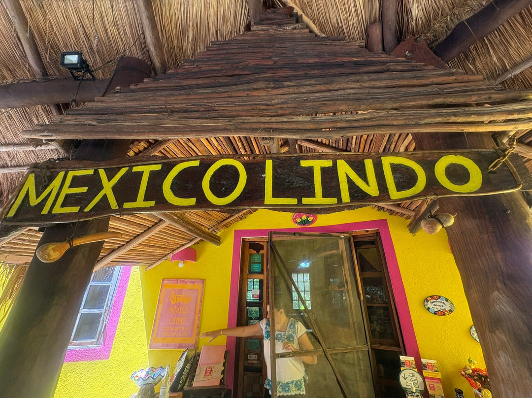 Mexico Lindo Cooking-从莫雷洛斯港必去景点