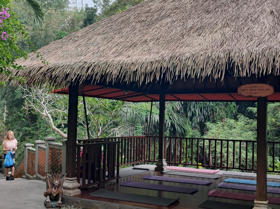 Seres Springs Resort & Spa, Singakerta主图