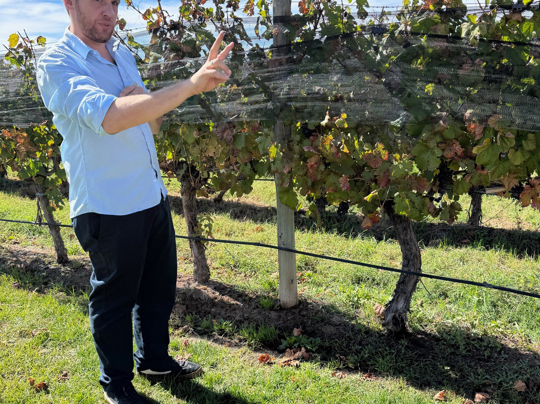 Bodega Piattelli Agrelo, Mendoza-阿格雷洛必去景点