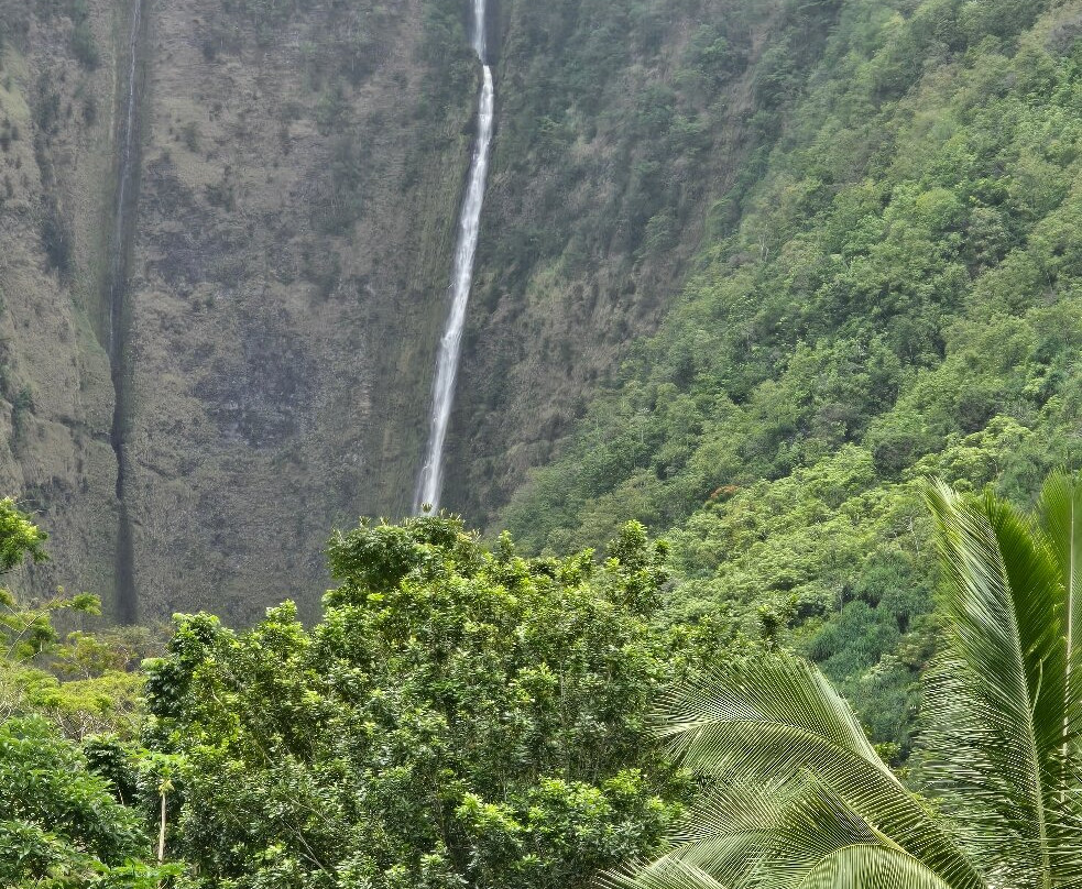 Waipio Valley Shuttle-库库伊哈尔必去景点