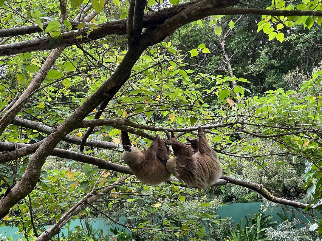 Top Travel Costa Rica-圣何塞必去景点