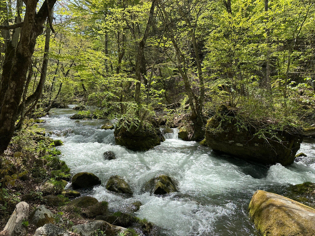 奥入濑溪-十和田市必去景点