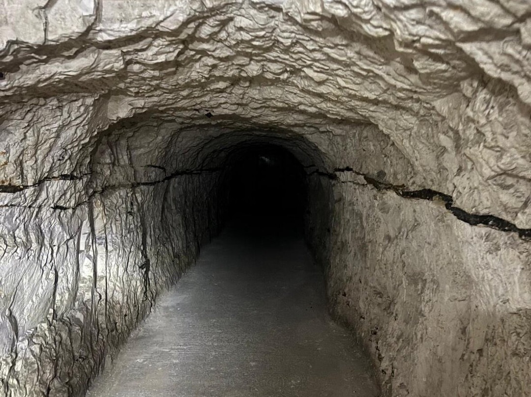 Fan Bay Deep Shelter and Gun Emplacement-多佛必去景点