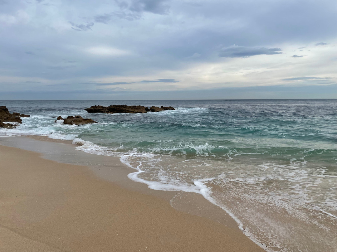 Koonya Beach-Blairgowrie必去景点