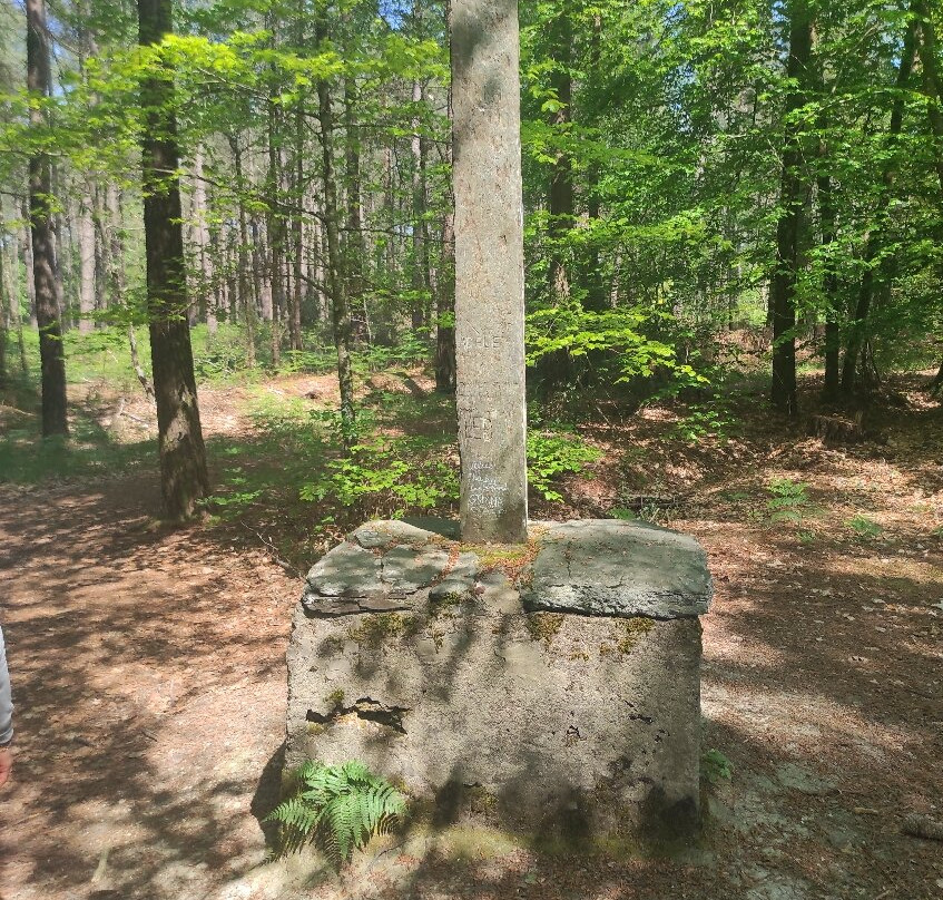 Foret du Gavre