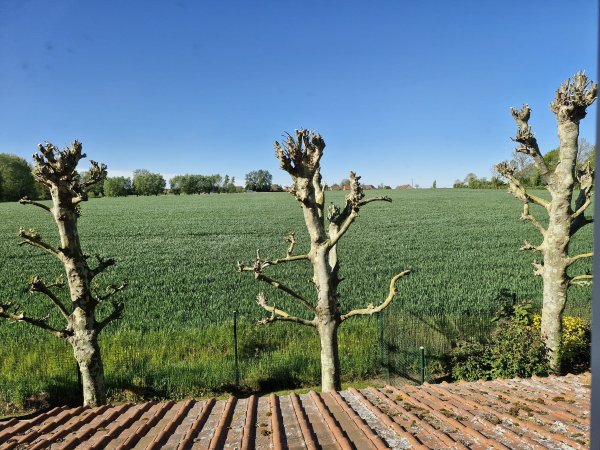 Côte d'Opale - la Ferme des Saules-度假村/酒店