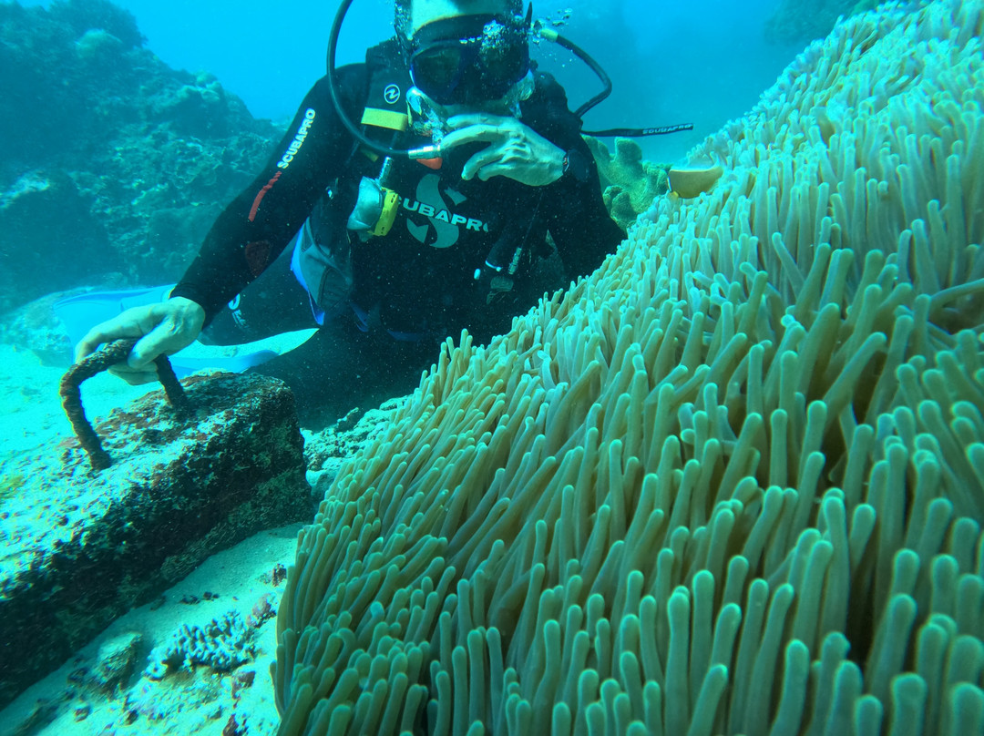 Bali Hai Diving Adventures-蓝梦岛必去景点