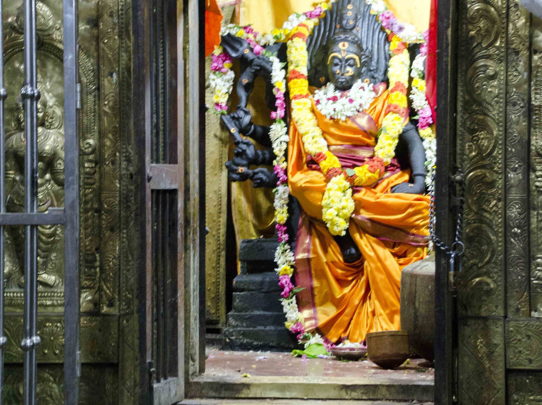 Ekambareswarar Temple-甘吉布勒姆必去景点