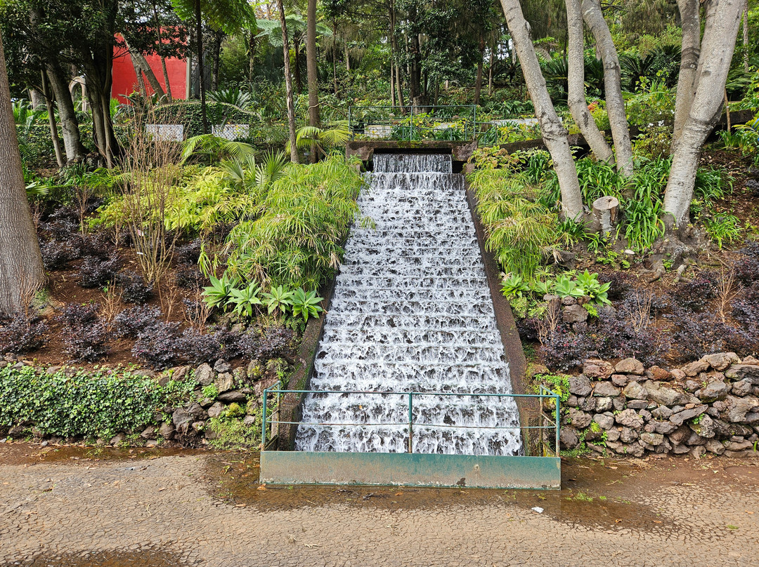 Monte Palace Madeira-沙尔必去景点