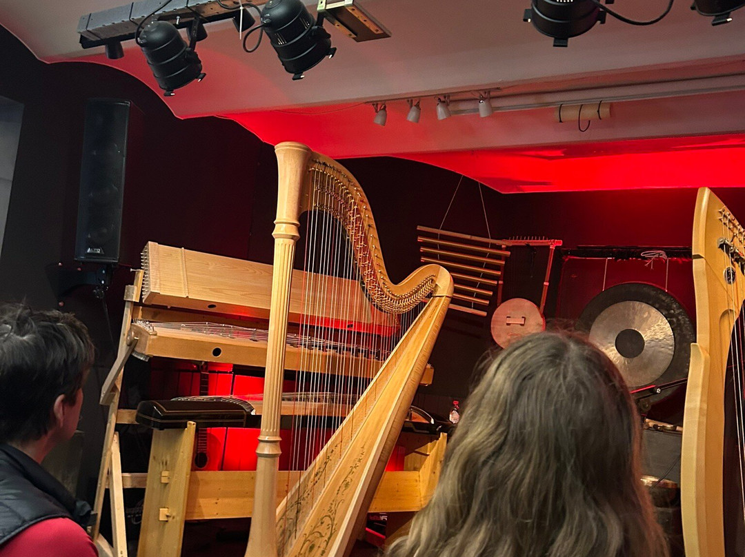 Luc Vanlaere Harpist - Harp Museum-布鲁日必去景点