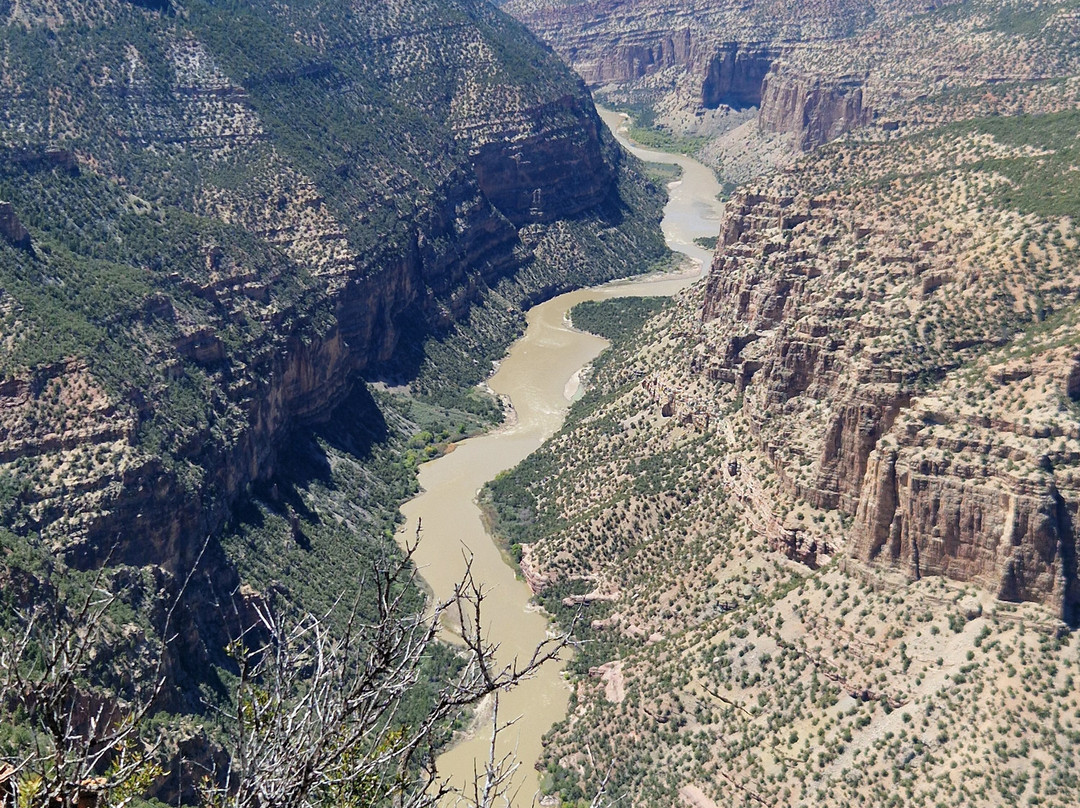 Dinosaur National Monument-Jensen必去景点