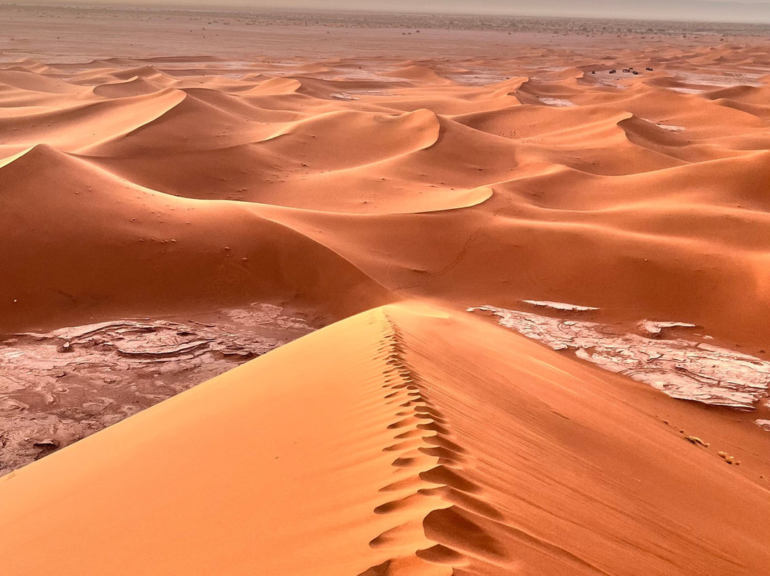 Adventures Desert-迈哈米德必去景点