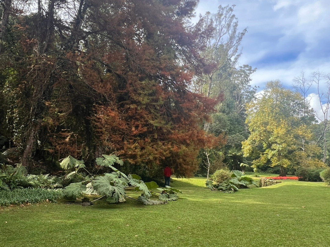Parque Bambui-坎普斯－杜若尔当必去景点
