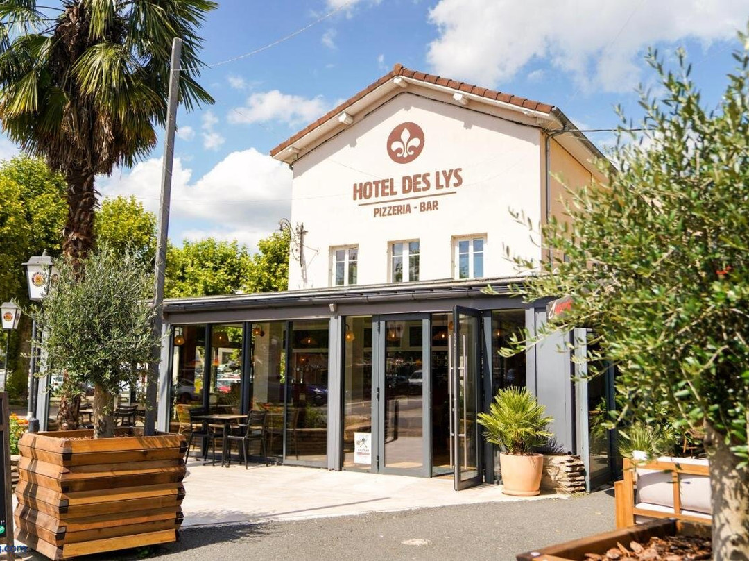 Hotel des Lys