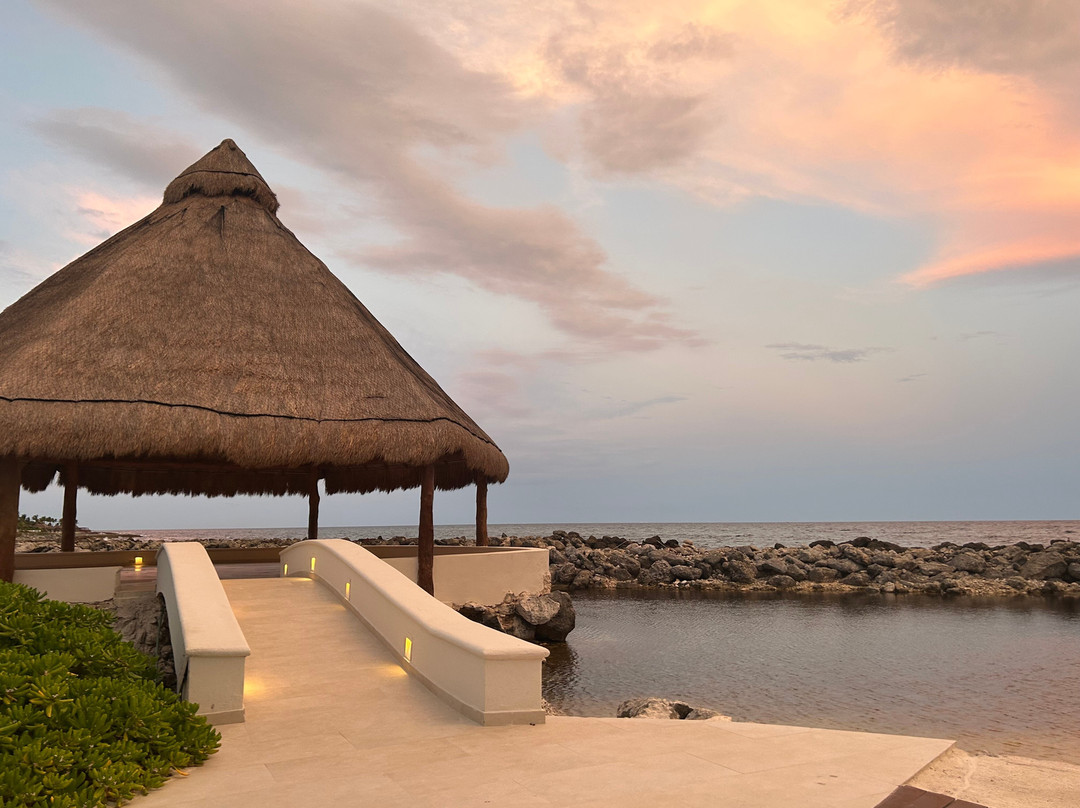 Catalonia Yucatan Beach - All Inclusive主图
