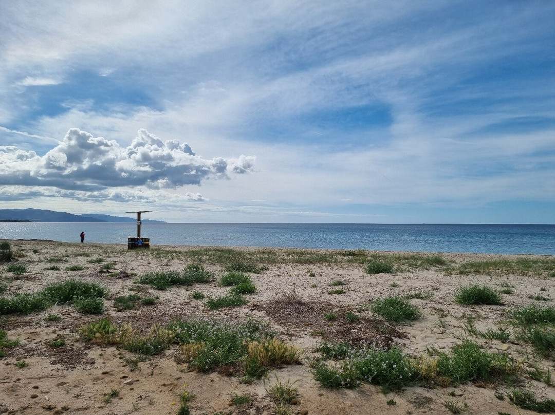 Poetto-卡利亚里省必去景点