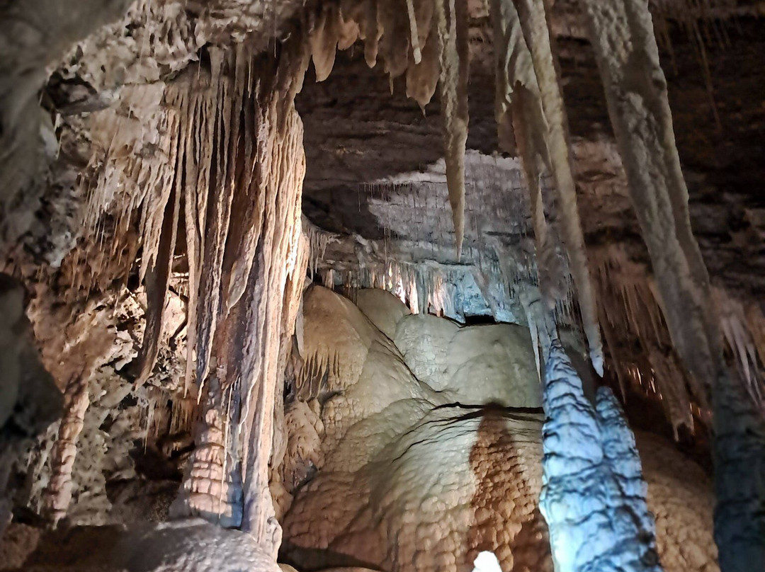 Marakoopa Cave-茉莉溪必去景点