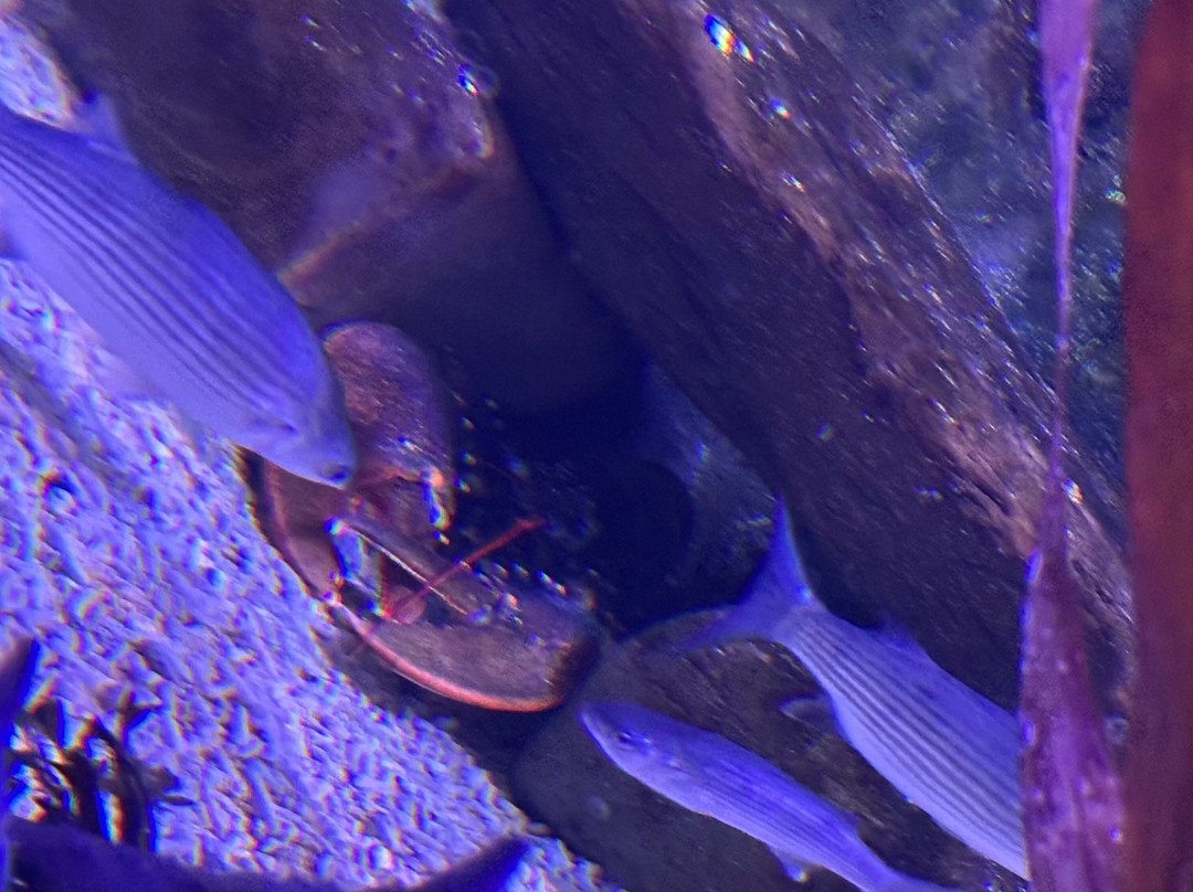 Sea Life Scarborough-斯卡伯勒必去景点