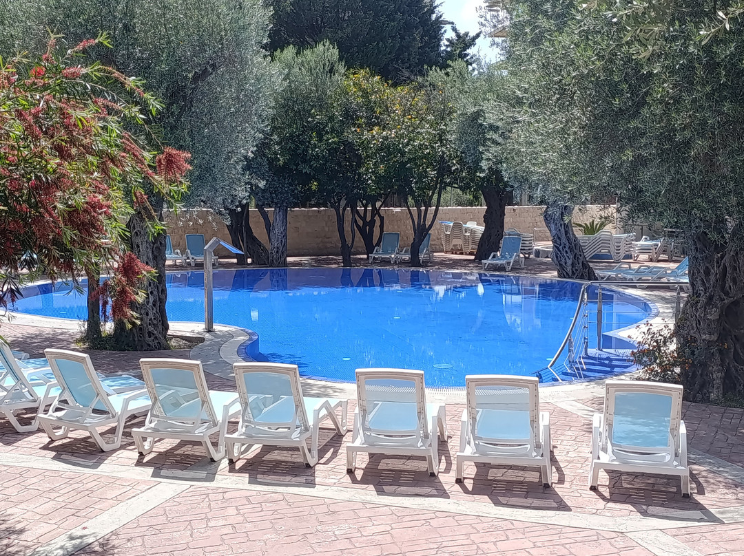 Vile Oliva Hotel & Resort主图